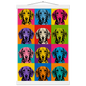 8ba52e85-49aa-4ce4-bf52-696bd37ddf25