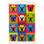 cdc00fb9-68cb-4f15-9321-2dd29ecbfd5e